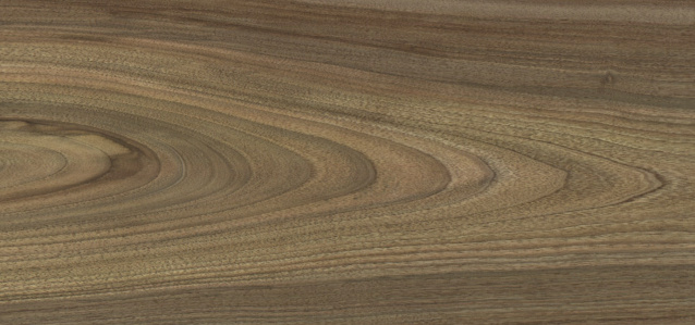 European Walnut (plain)